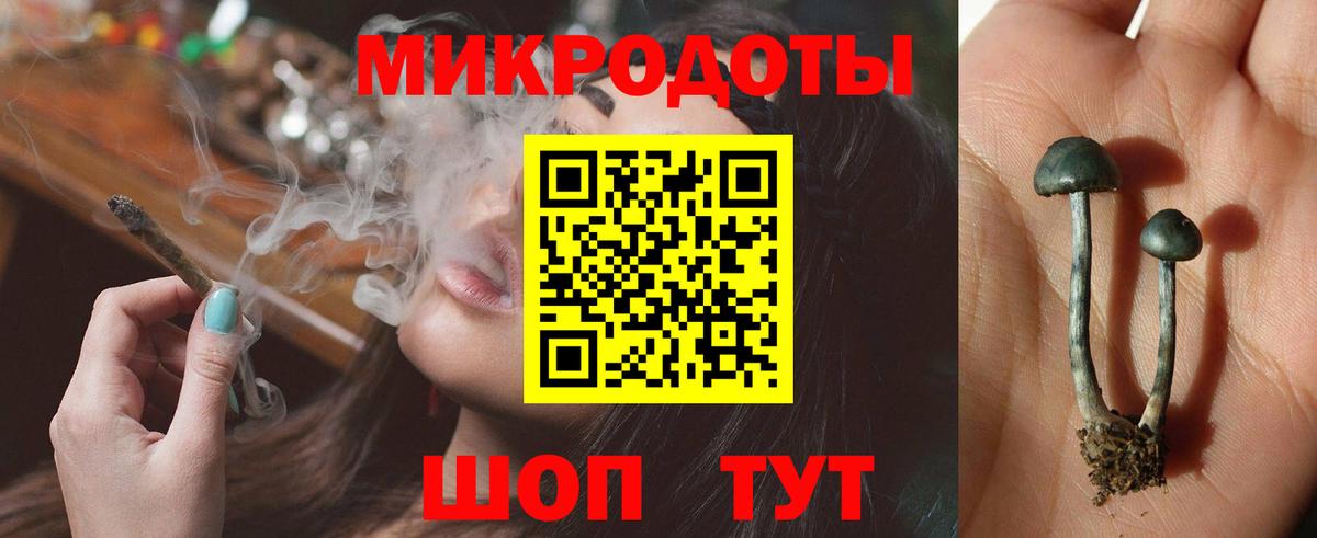 Псилоцибиновые грибы MAGIC MUSHROOMS Кострома