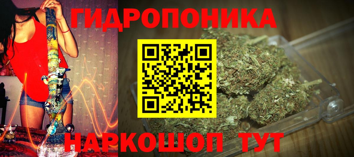 Кострома  Каннабис сатива  Вход с VPN  Конопля сатива  Марихуана индика  Конопля марихуана 